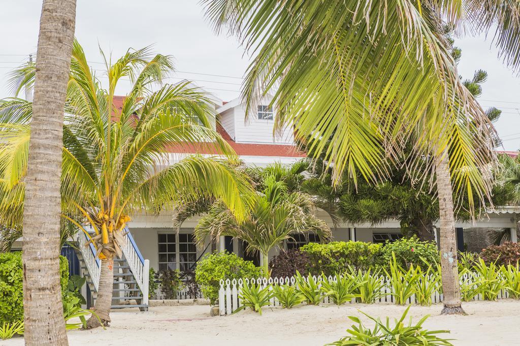 Casa Brisa Guest House San Pedro  Eksteriør bilde